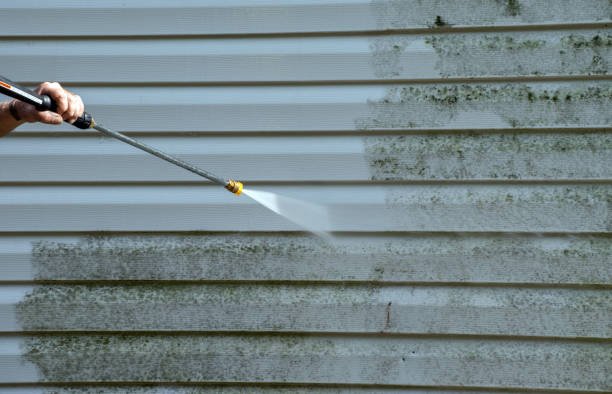 Best Pressure Washing Near Me  in Pleasantville, IA