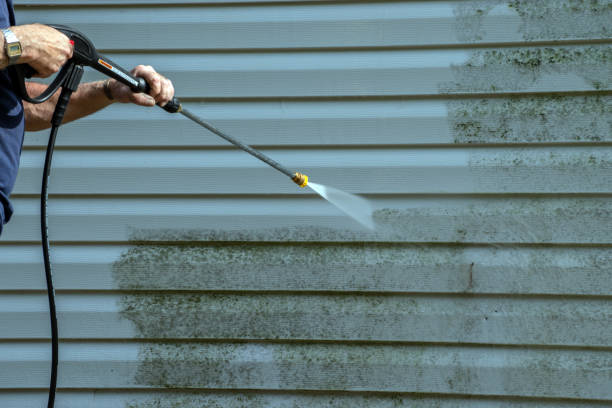 Best House Pressure Washing  in Pleasantville, IA
