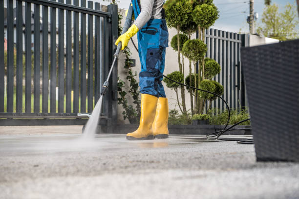 Best Local Pressure Washing Services  in Pleasantville, IA